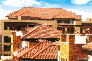  250T平板硫化機（軌道開模）